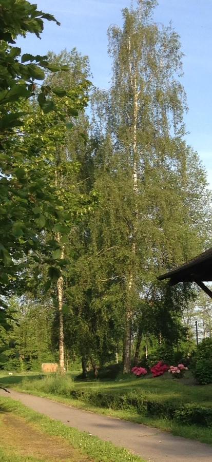 La Gare Aux Oiseaux Bed & Breakfast Champagnac-la-Riviere Exterior photo